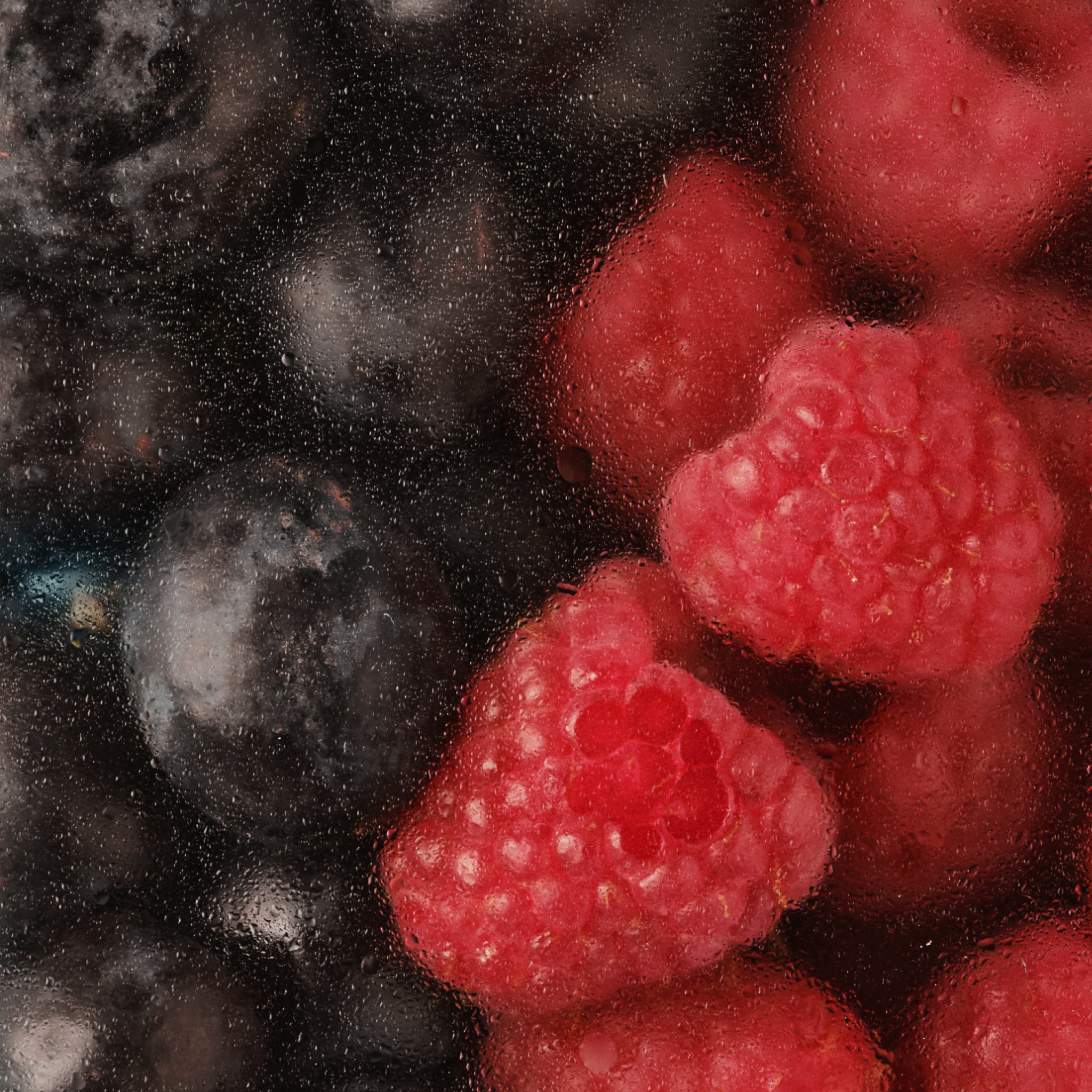 Close up of raspberries and black grapes photographed through glass with condensation