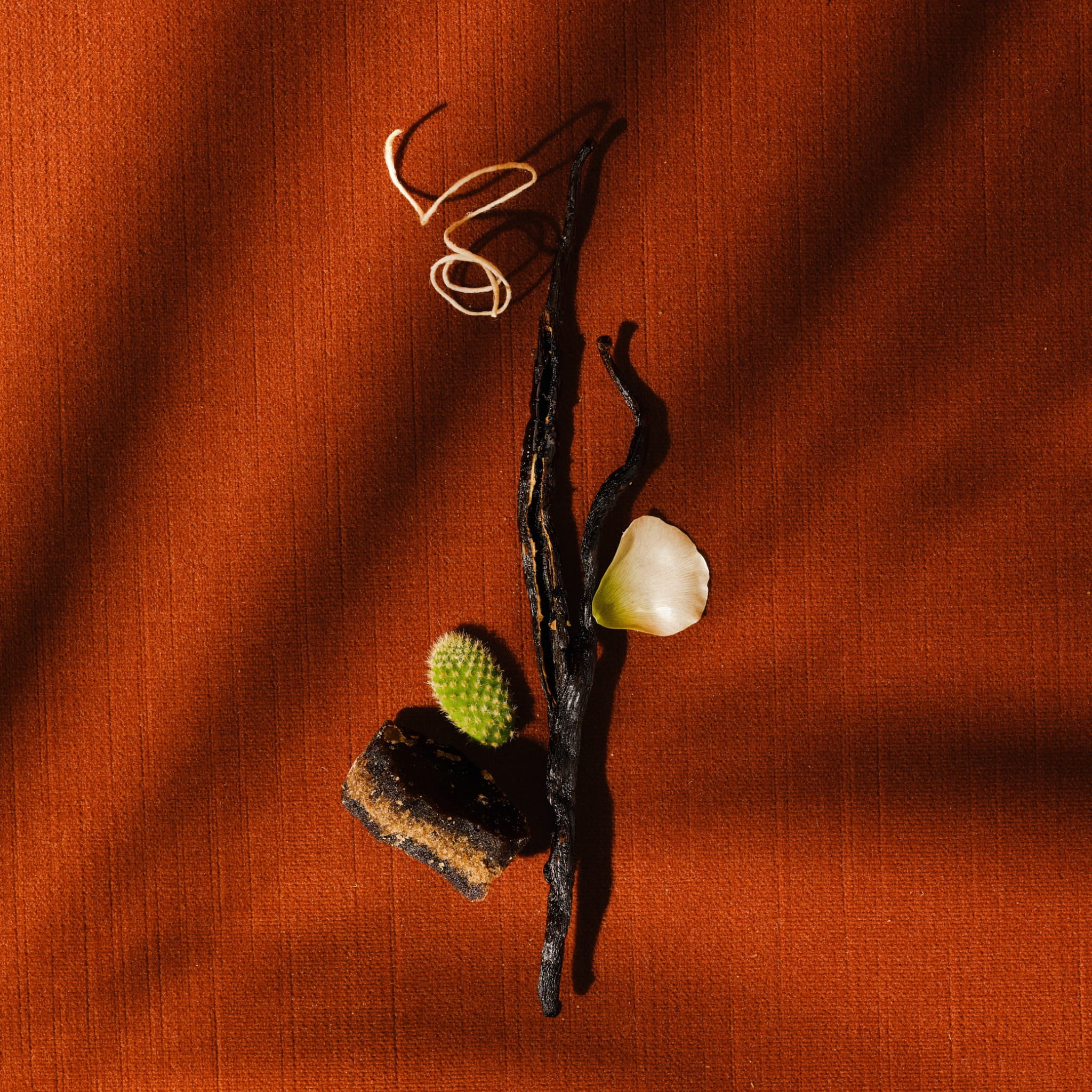 Nantic – Mexico